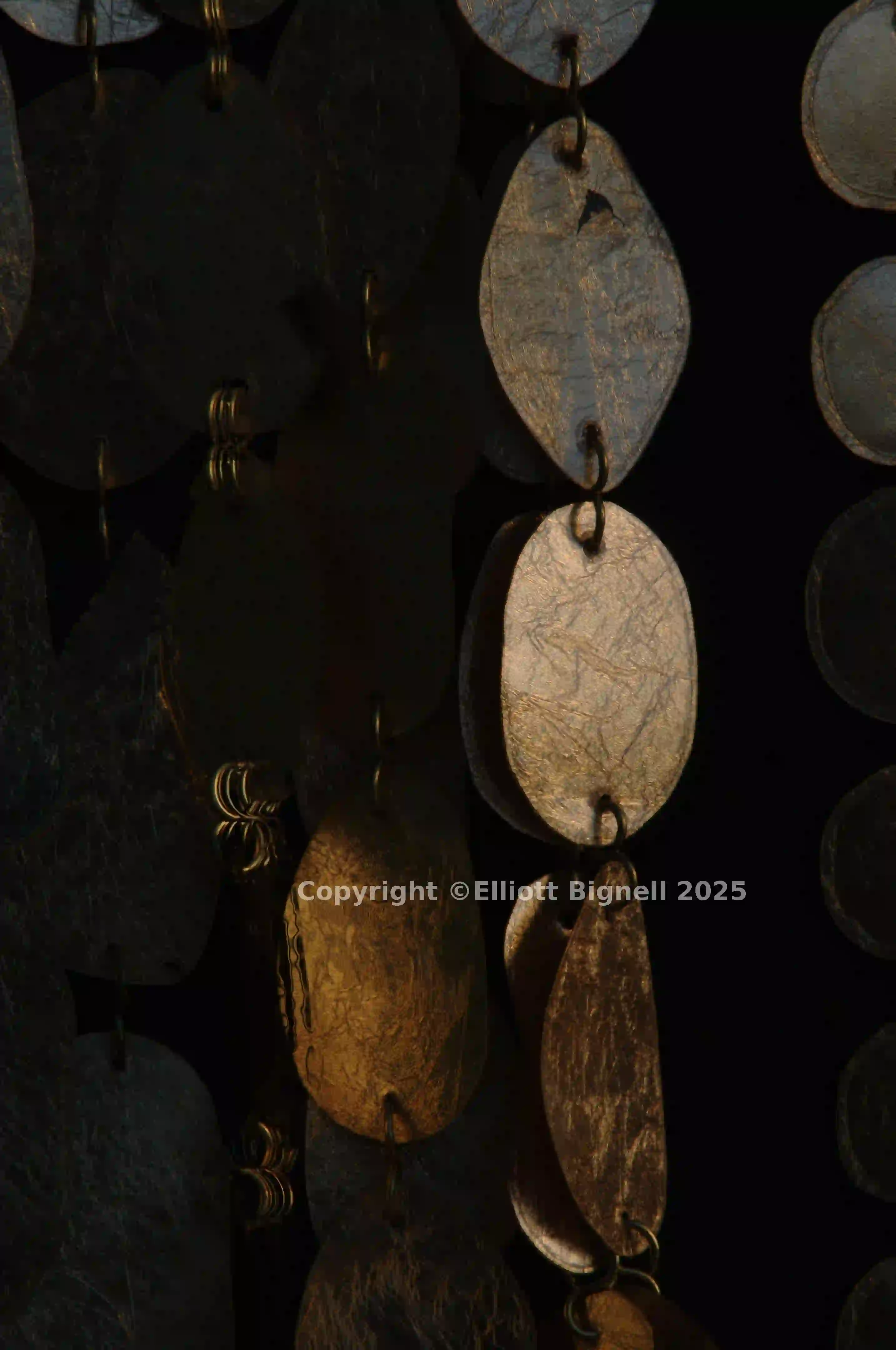 2013-11-11-07.52.17 ZS DMap.jpg